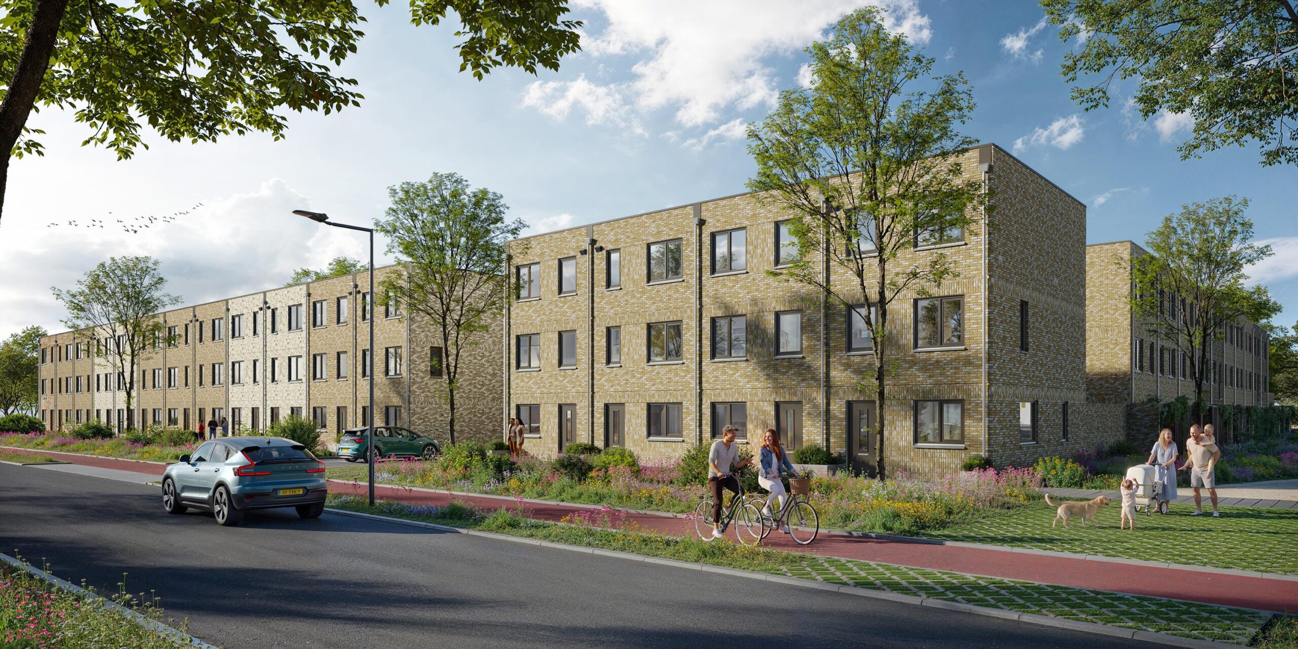 52410_Ext 3